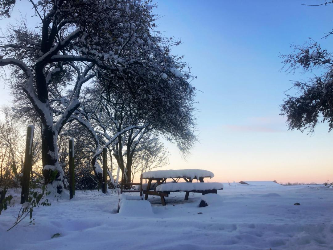 værelserne – billede 14