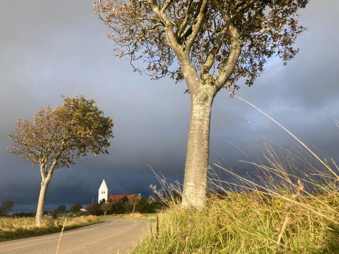 værelserne – billede 12